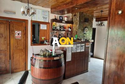 Pensiune in Muntii Apuseni 10 camere 1007 mp teren - 7