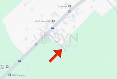 Teren Construcții intravilan de 10000 mp, în Dascălu - 6