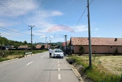Teren de vanzare Blajel, jud. Sibiu | 15.360 mp - p... - 5