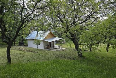 Casă cu Teren 2500 Mp în Poiana Pletari - 1
