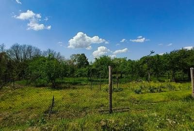 Teren 1712mp de vanzare in Horezu, Turcinesti, langa Pensiunea Arianna - 5