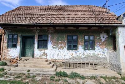 Casă cu 4 camere cu Teren 3000 Mp în Recea - 6