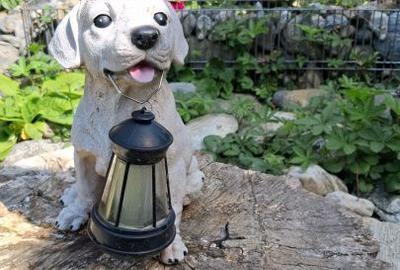 Spațiu comercial, de 270 mp, în Viștea - 2