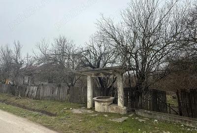 Teren de 1100 mp, în Murgași - 4