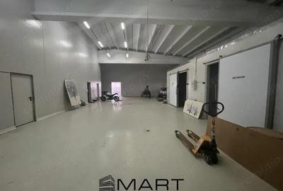 Hala industriala 1000mp utili + birouri + teren 2500mp Selimbar - 6