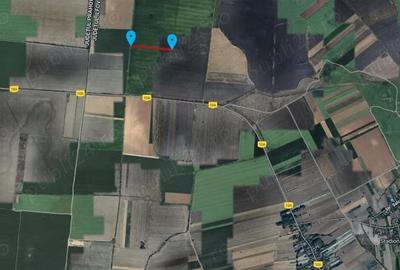 Teren de 53211 mp, în Merii Petchii - 2