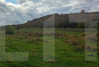 Teren de investitie 1760 mp - 3