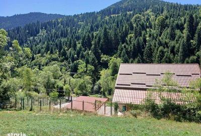 Teren de 1349 mp, în Scărișoara - 8