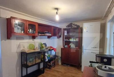 Duplex cu 2 camere de vanzare in Copaceni - 10