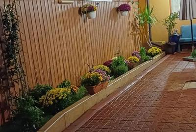 Casa ca in povesti pe str. Al Cernat Casa ca in povesti pe str. Al Cernat - 2