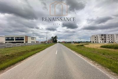 Teren Construcții intravilan de 812 mp, în Moșnița Nouă - 1