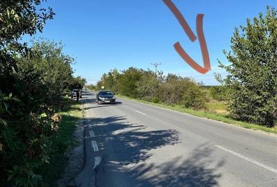 Teren de 6700 mp, în Domnești - 4
