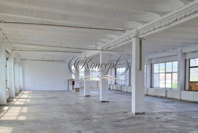 Hala depozitare/productie in Piata 1 Mai - 2