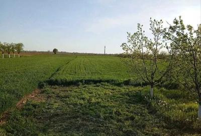 Casă cu 4 camere în Moara Mocanului - 6