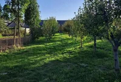 Casă cu 4 camere cu Teren 1400 Mp în Central - 2