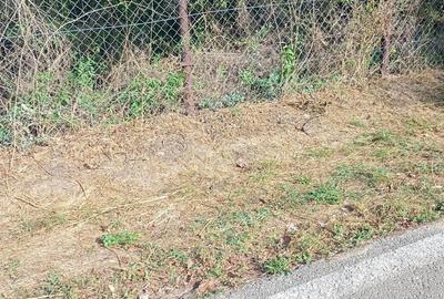 Teren de 5700 mp, în Unguriu - 1