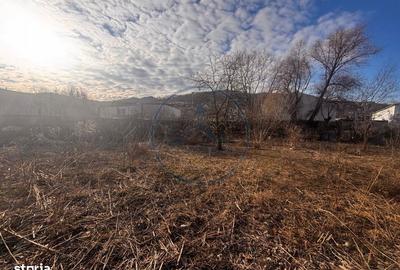 Spațiu comercial, în Viișoara - 4