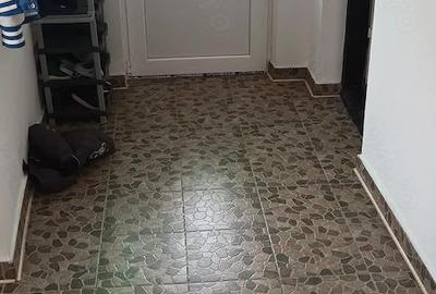 Casă cu Teren 1052 Mp în Bălteni - 5