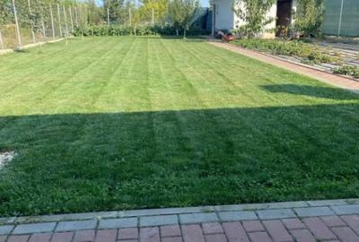 Casă cu 4 camere cu Teren 1000 Mp în Grădiștea - 7