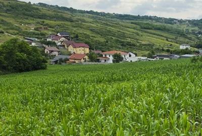 Teren de 9300 mp, în Aroneanu