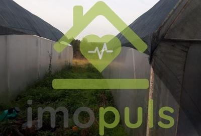 🗺️ Teren intravilan in Jupani (Timis), 10,19 Euro/mp.✨ - 4