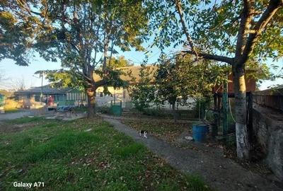 Casă individuală cu 3 camere cu Teren 3447 Mp în Satu Nou (Mircea Vodă) - 1