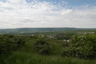 Casă cu 6 camere cu Teren 23000 Mp în Horodiștea - 1