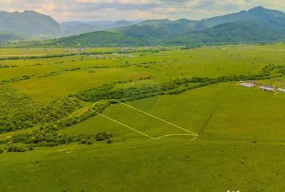 Teren de 10800 mp, în Râșnov - 10