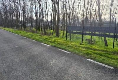 Spațiu comercial, în Grădiștea - 2