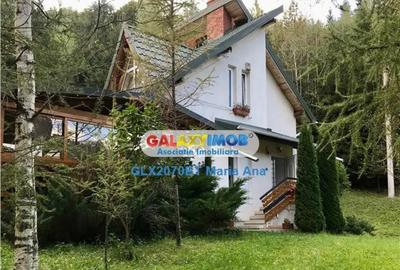 Casă cu 4 camere cu Teren 1022 Mp în Vatra Dornei - 3