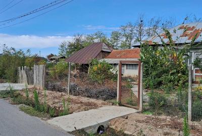 Casă cu 4 camere în Fierbinții de Jos - 7