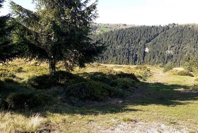 Teren în Măguri - 1