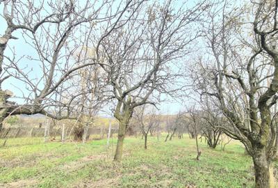 Casa cu teren generos, in centrul comunei Mu?ete?ti - 10