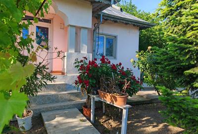VANZARE CASA INDIVIDUALA LA CHEIE - 24