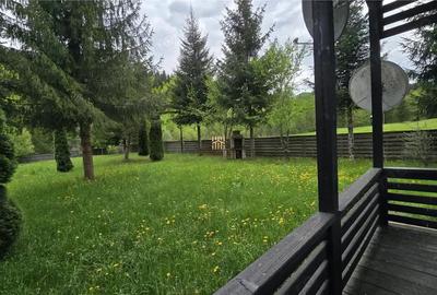 Casă cu Teren 2000 Mp în Mălini - 6