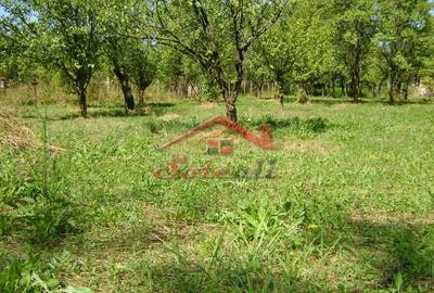 Teren de 1919 mp, în Cornu - 2