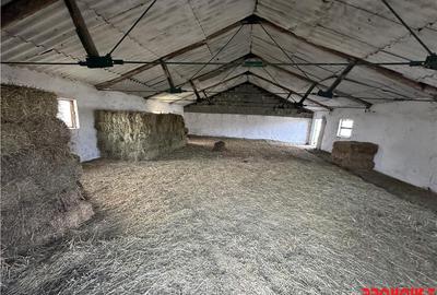 Platforma industriala 27.000mp - Racova - Buhusi - 6