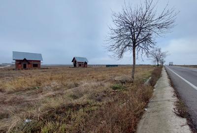 Teren Intravilan Letca Noua DN61 deschidere 235m - 5