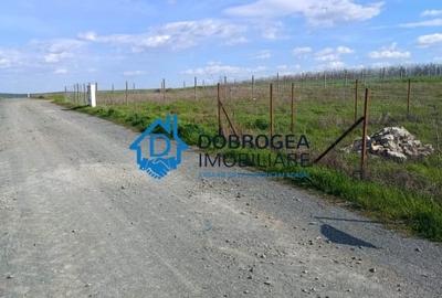 Teren Construcții intravilan de 481 mp, în Câșlița - 5