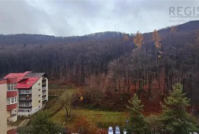 Apartament 3 Camere Racadau Petfriendly - 4