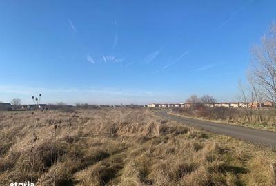 Spațiu comercial, în Săcălaz - 5