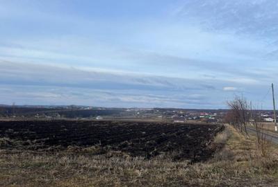 Vand teren extravilan - 3