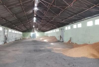 Teren de 16575 mp, în Sintea Mare - 1