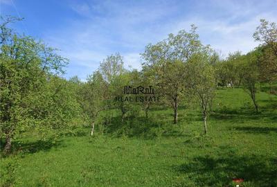 Teren intravilan si cladire in Apuseni, Blajeni, Hd - 3