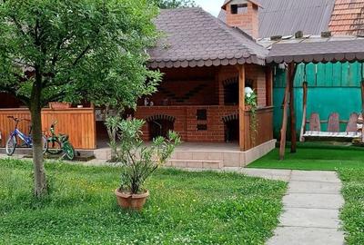 Casă cu 2 camere în Cârțișoara - 5