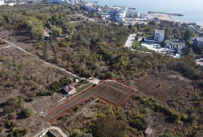 Spațiu comercial, în Venus - 2