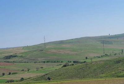 Teren de 29400 mp, în Rogova - 2