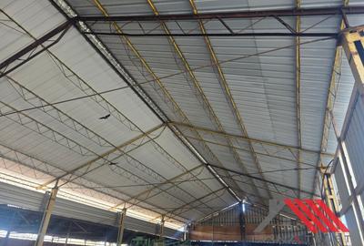 Cheveresul Mare – Platforma betonata, Hala - 2