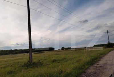 Teren 1000 mp , zona Carcea, Hanul cu ponei - 3