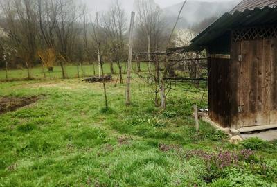 Casă cu 4 camere în Central - 3